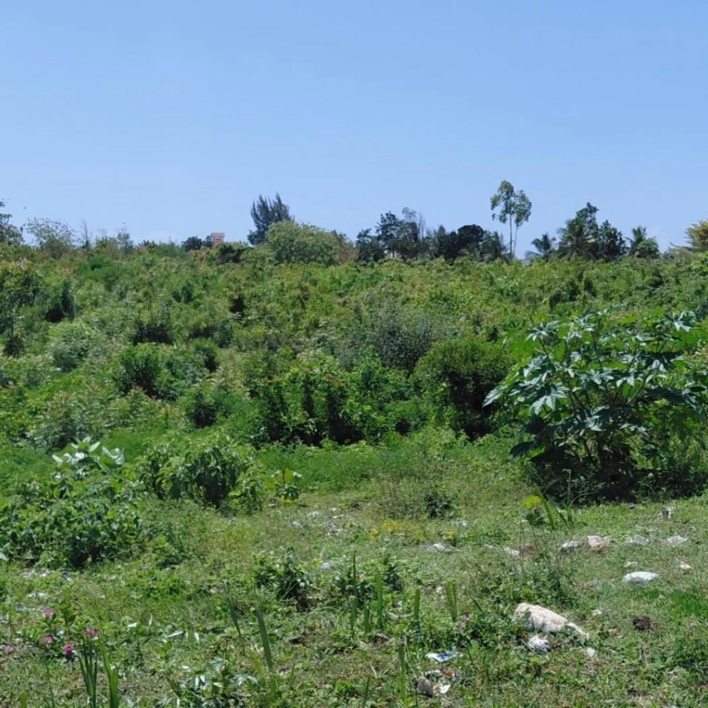 10 acre land for sale in diani, galu