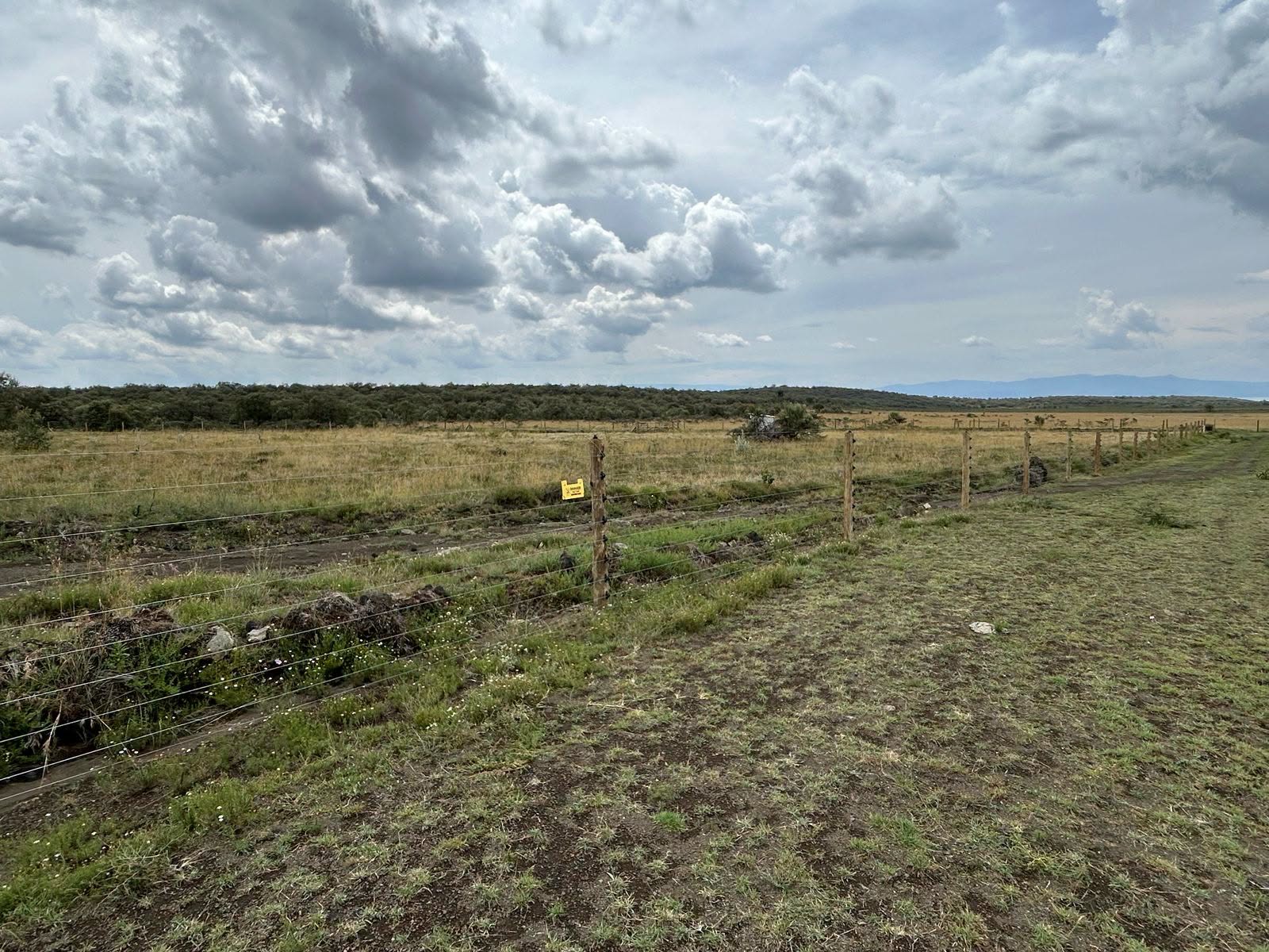 10 acre land for sale in kedong, Naivasha