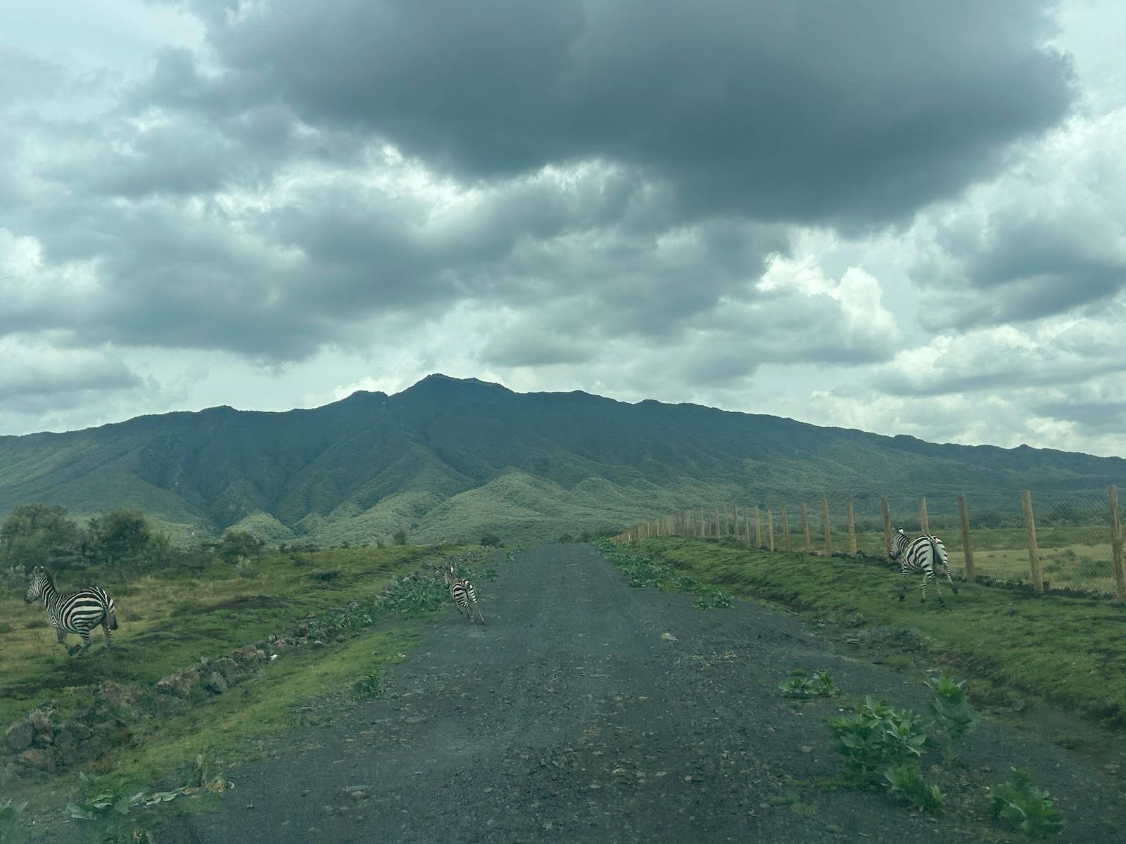 10 acre land for sale in kedong, Naivasha Image