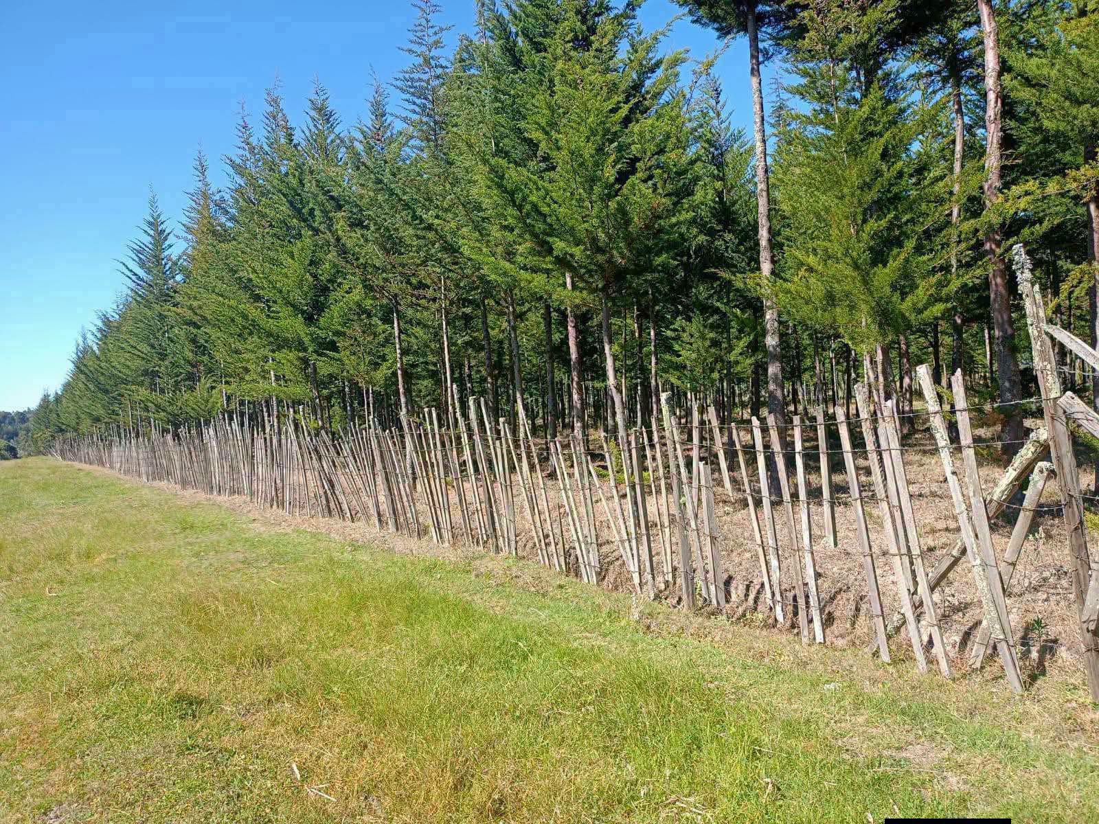10 acre land for sale in mkungi scheme, nyandarua