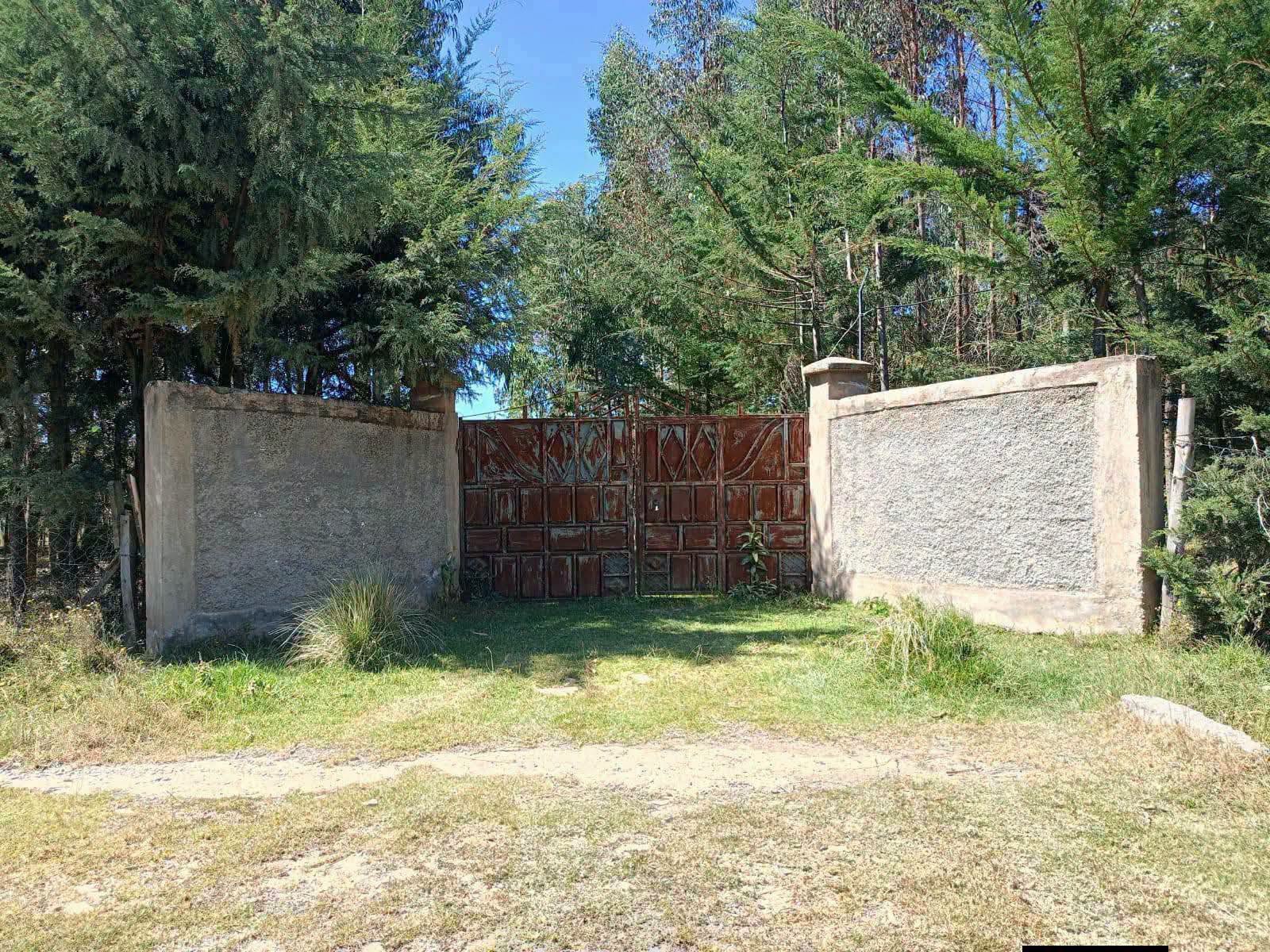 10 acre land for sale in mkungi scheme, nyandarua Image