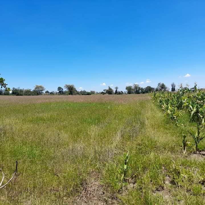 10 acre land for sale in njoro belba Image