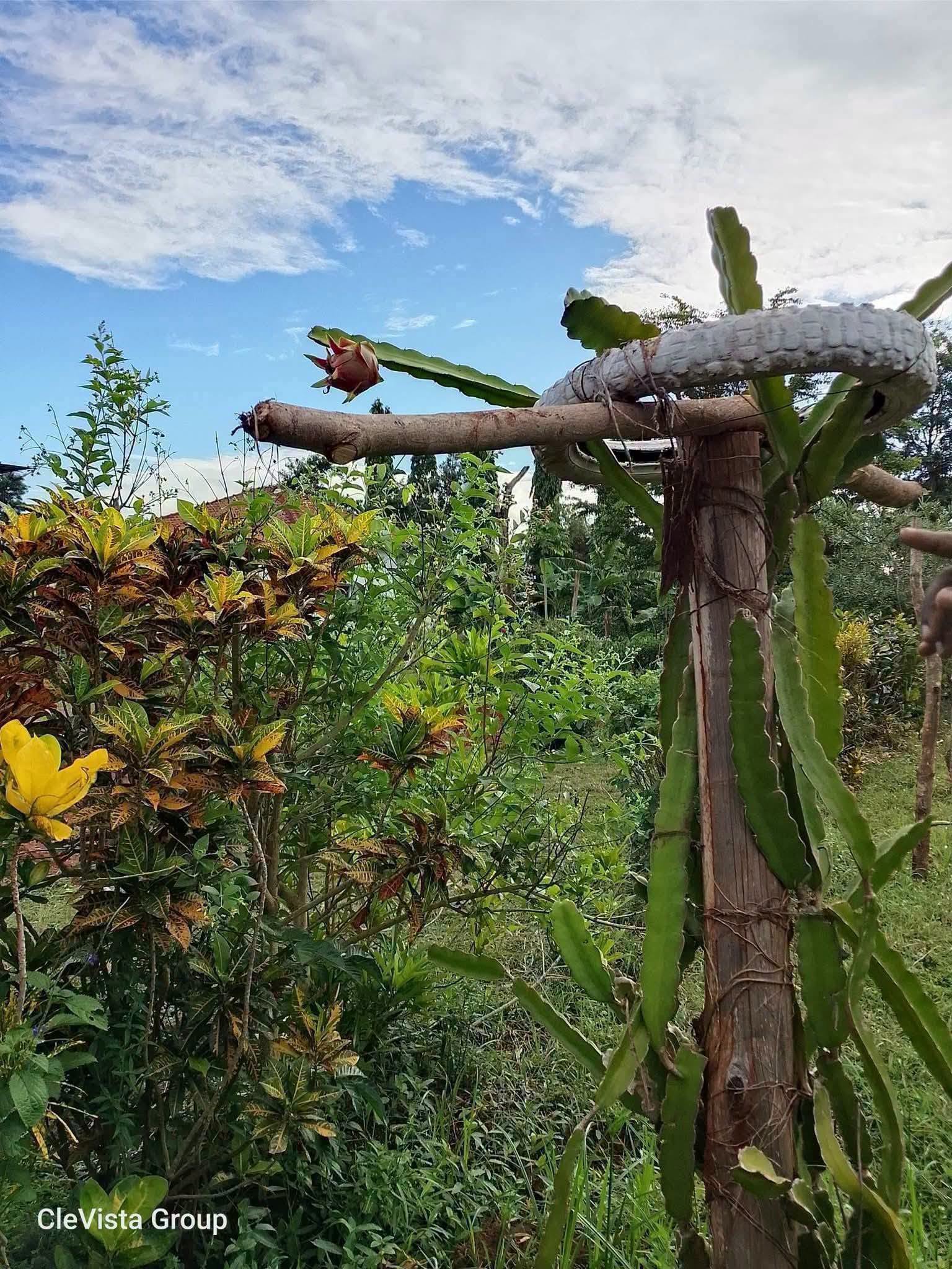 10 acre land for sale in ramisi, bumbani Image