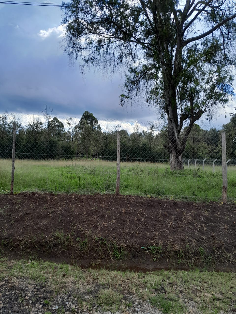 10 Acre Plot For Sale in Karen Image