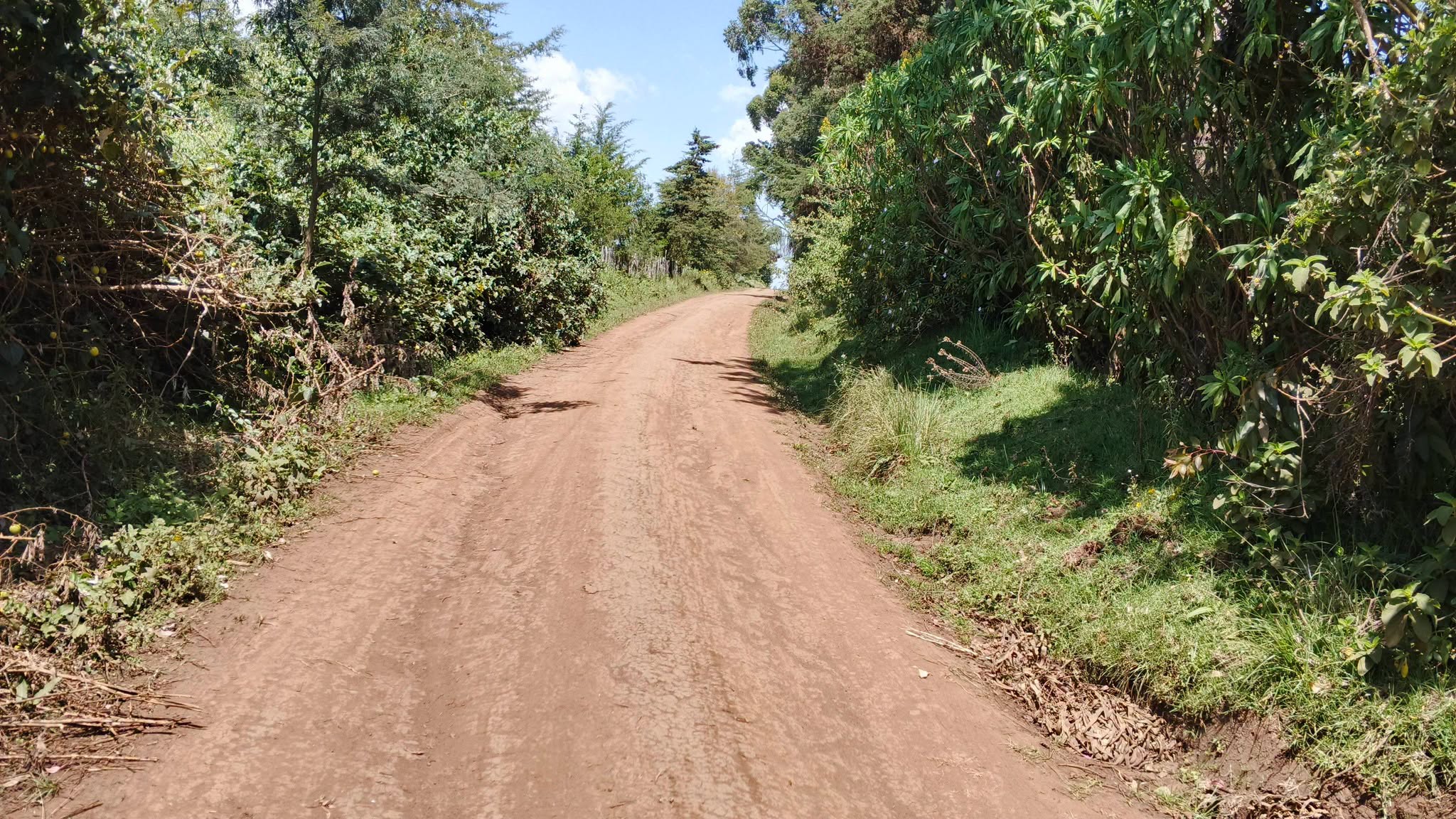 10 acrea agricultural land for sale in silanga, olkalou