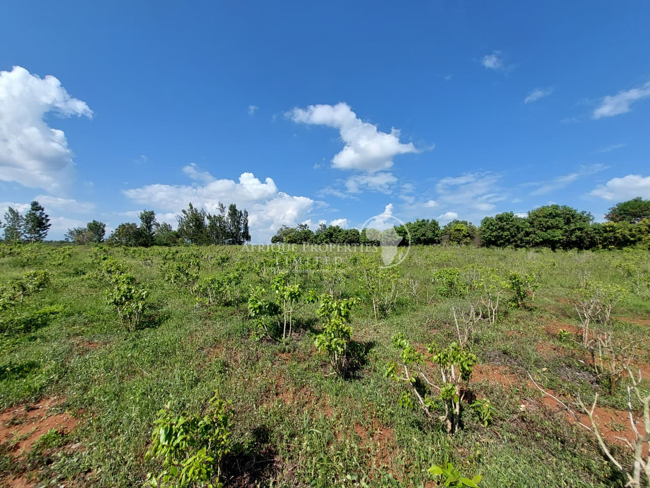 10 acres agricultural land for sale in Embu Image