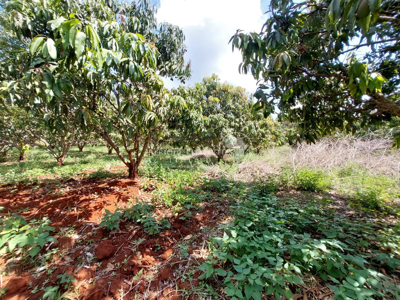 10 acres agricultural land for sale in Embu