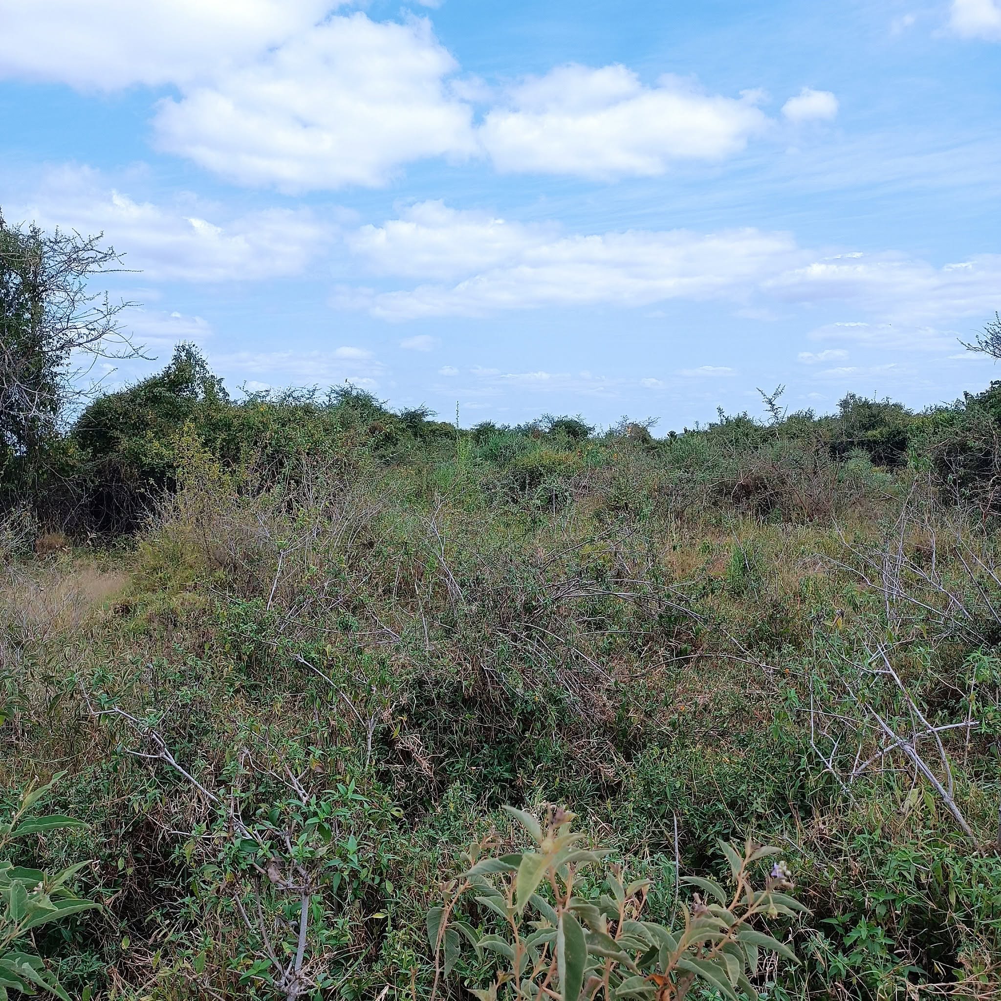 10 acres distress sale at Najile-Ewuaso kajiado county