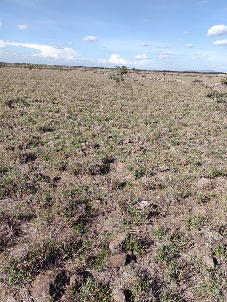 10 acres land for sale in Isinya – Enkirigirri