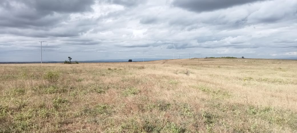 10 ACRES LAND FOR SALE IN ISINYA, KAJIADO COUNTY