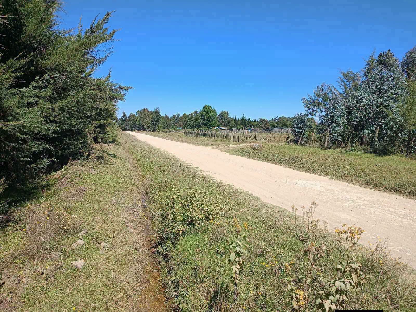 10 Acres land for sale in Mkungi Nyandarua County