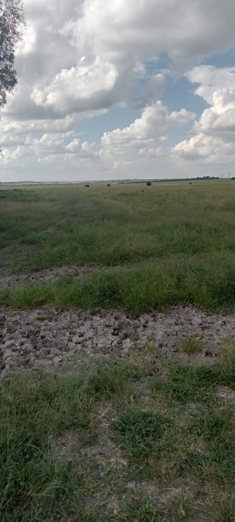 10 ACRES LAND FOR SALE IN NAMANGA, KAJIADO COUNTY