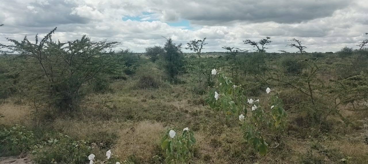 10 acres of land for sale, it is located in inkuseron sajiloni, Kajiado Image