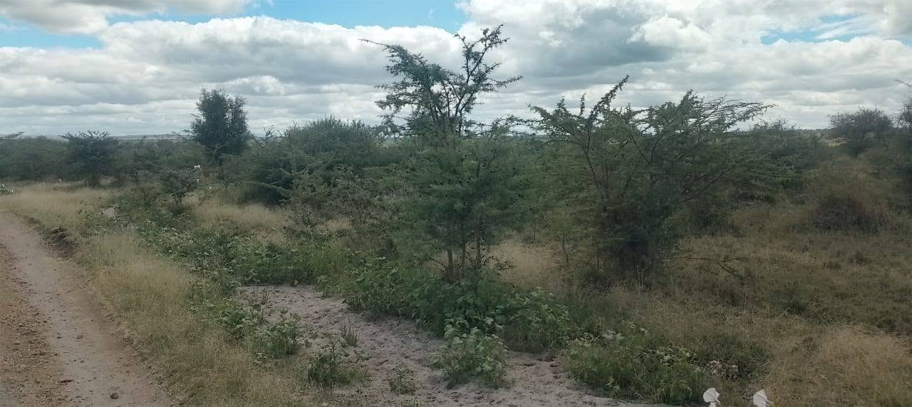 10 acres of land for sale, it is located in inkuseron sajiloni, Kajiado