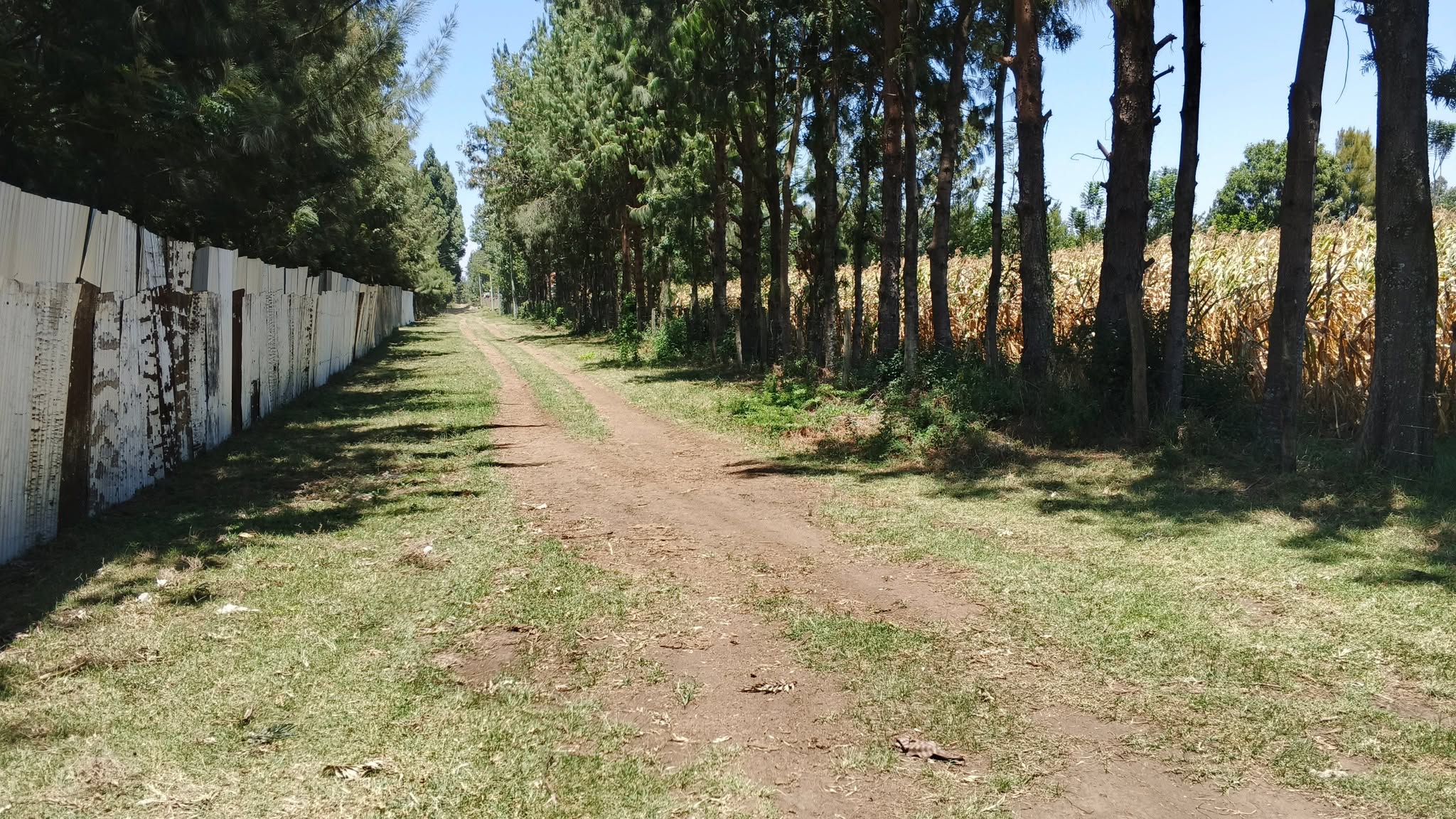 10 acres prime plot or sale in nyahururu, sobea
