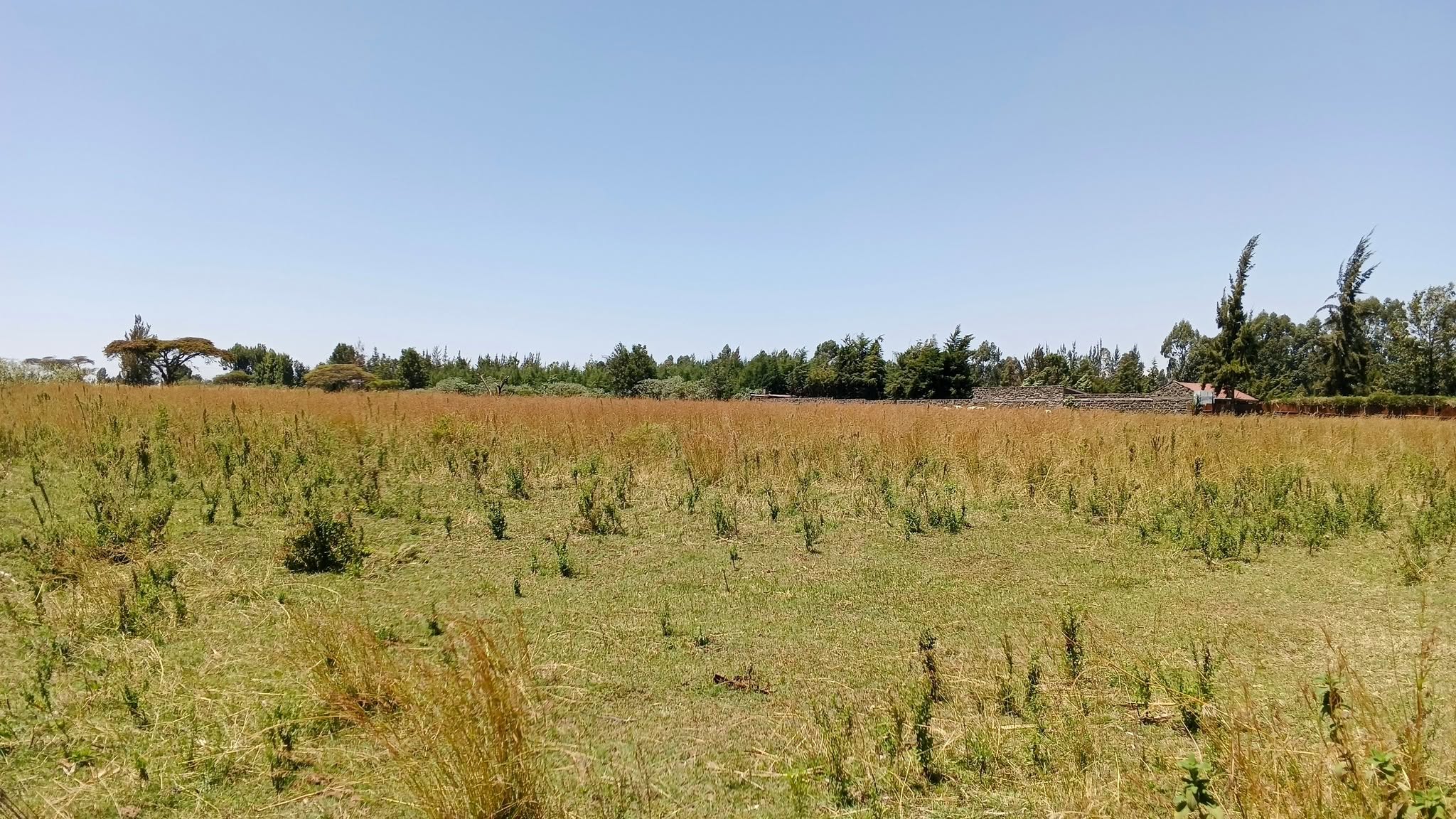 10 acres prime plot or sale in nyahururu, sobea Image