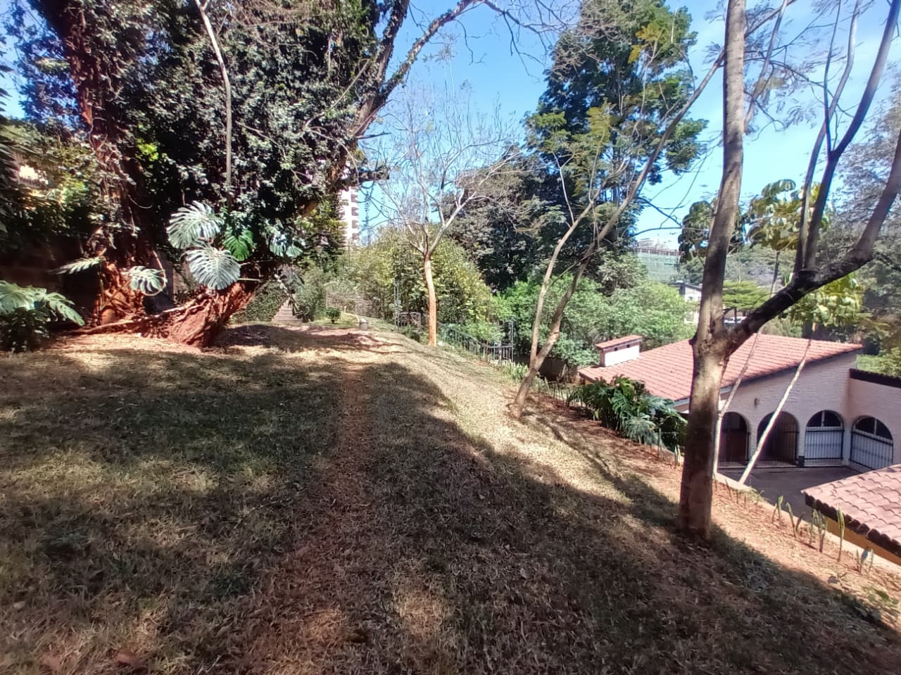 10 bedroom maisonette plus 2 dsq for rent in riverside Image