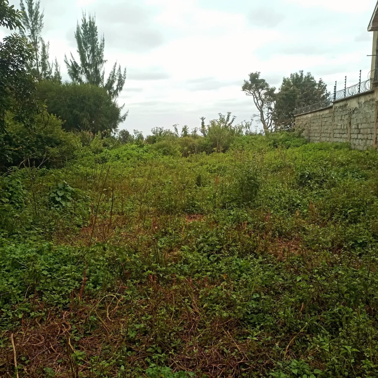 100 acre land for sale in Kiserian Image