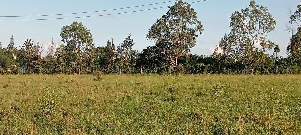 100 ACRES LAND FOR SALE IN BISIL, KAJIADO COUNTY