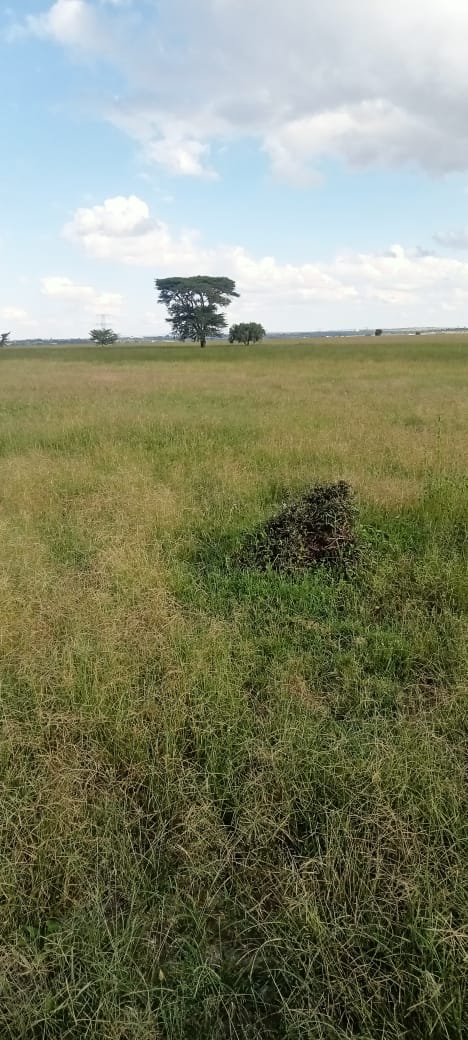 100 ACRES LAND FOR SALE IN MAILI TISA, KAJIADO COUNTY