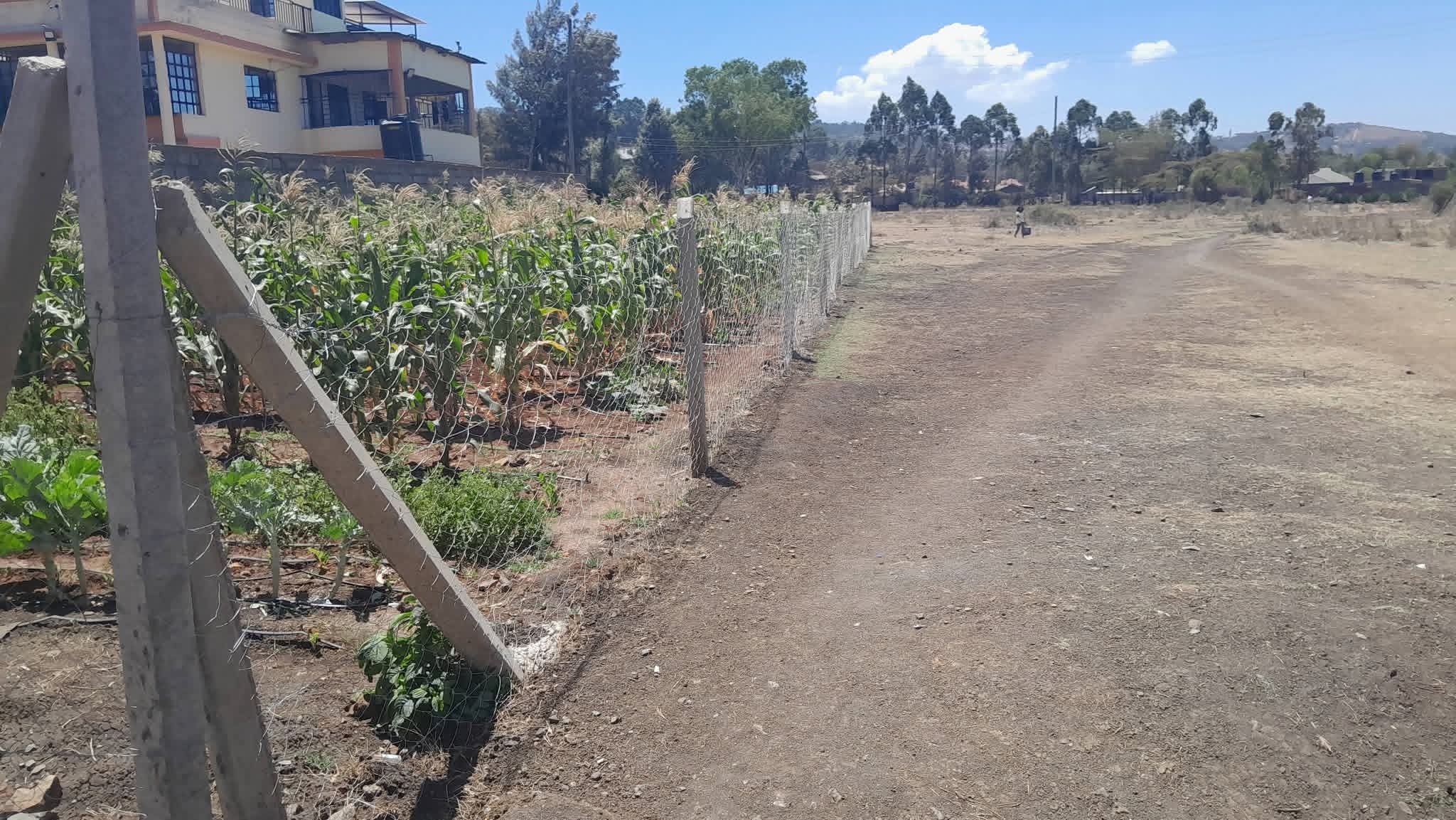 100 by 100 plot for sale in Ngong, Kibiko