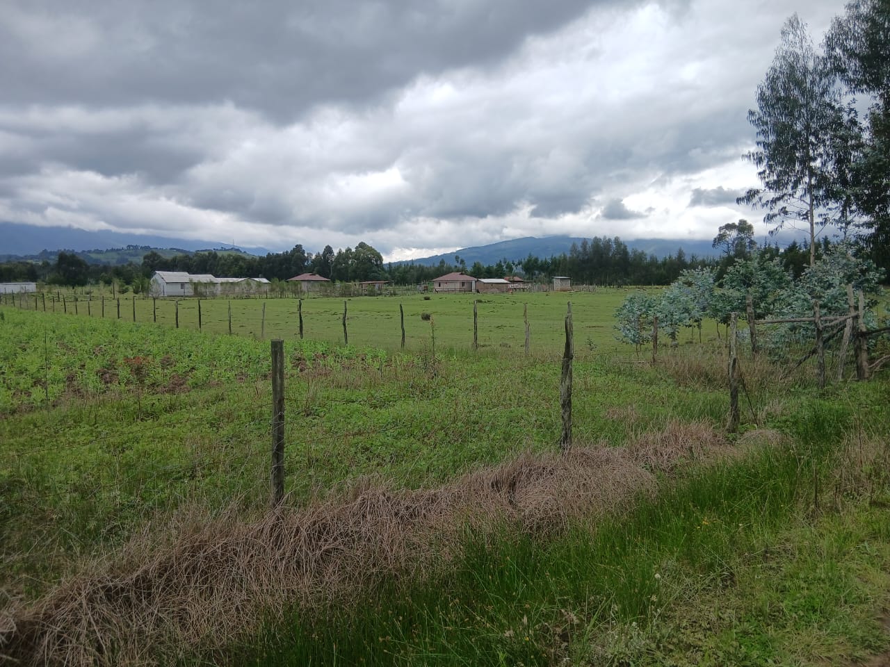 100 x100 Plot For Lease Kinoo Touching Muhuri Road,