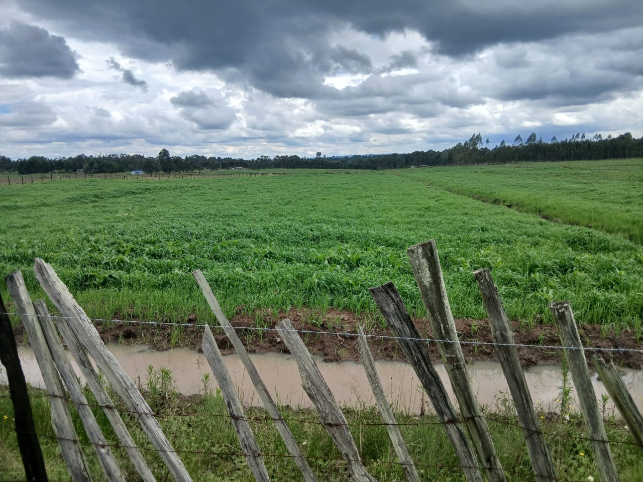 100 x100 Plot For Lease Kinoo Touching Muhuri Road, Image