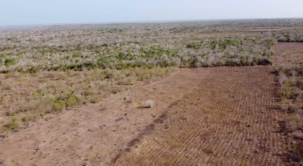 1000 Acres for Sale – 𝐀𝐝𝐮,𝐌𝐚𝐠𝐡𝐚𝐫𝐢𝐧𝐢 𝐣𝐮𝐬𝐭 𝟒𝟓 𝐌𝐢𝐧𝐮𝐭𝐞𝐬 𝐃𝐫𝐢𝐯𝐞 𝐟𝐫𝐨𝐦 𝐌𝐚𝐥𝐢𝐧𝐝𝐢 𝐓𝐨𝐰𝐧