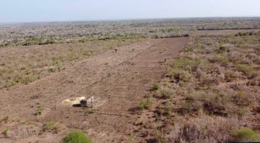 1000 Acres for Sale โ ๐๐๐ฎ,๐๐๐ ๐ก๐๐ซ๐ข๐ง๐ข ๐ฃ๐ฎ๐ฌ๐ญ ๐๐ ๐๐ข๐ง๐ฎ๐ญ๐๐ฌ ๐๐ซ๐ข๐ฏ๐ ๐๐ซ๐จ๐ฆ ๐๐๐ฅ๐ข๐ง๐๐ข ๐๐จ๐ฐ๐ง Image