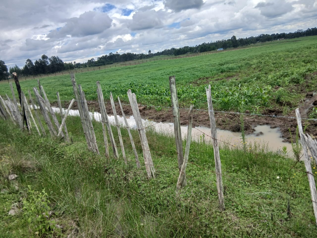 1000 acres of land for sale in Lamu Image