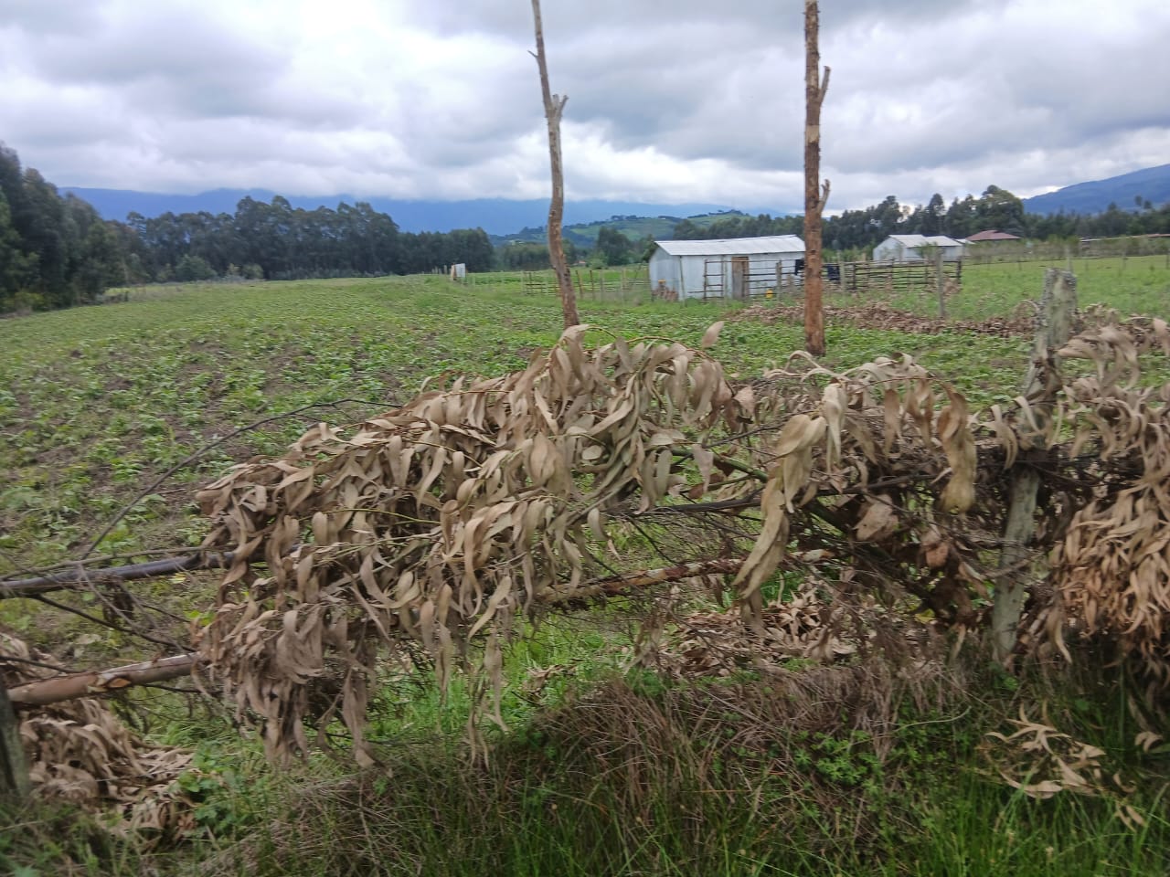 100x100 Plot For lease in Kikuyu lusigetti Touching dagoretti-mutarakwa Road .