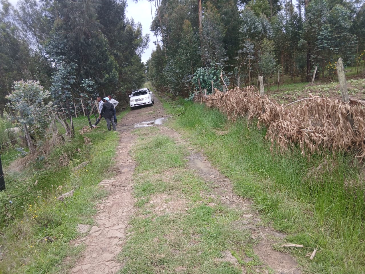 100x100 Plot For lease in Kikuyu lusigetti Touching dagoretti-mutarakwa Road . Image