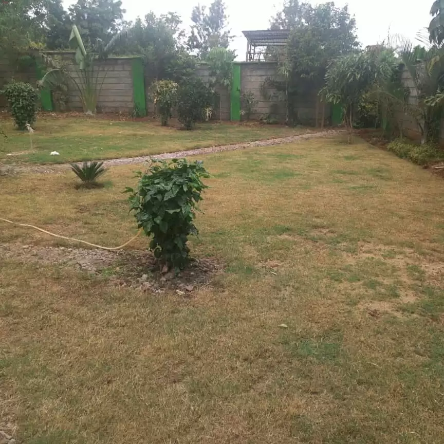 1 and 2 bedroom for rent in Ruiru Mugutha Image