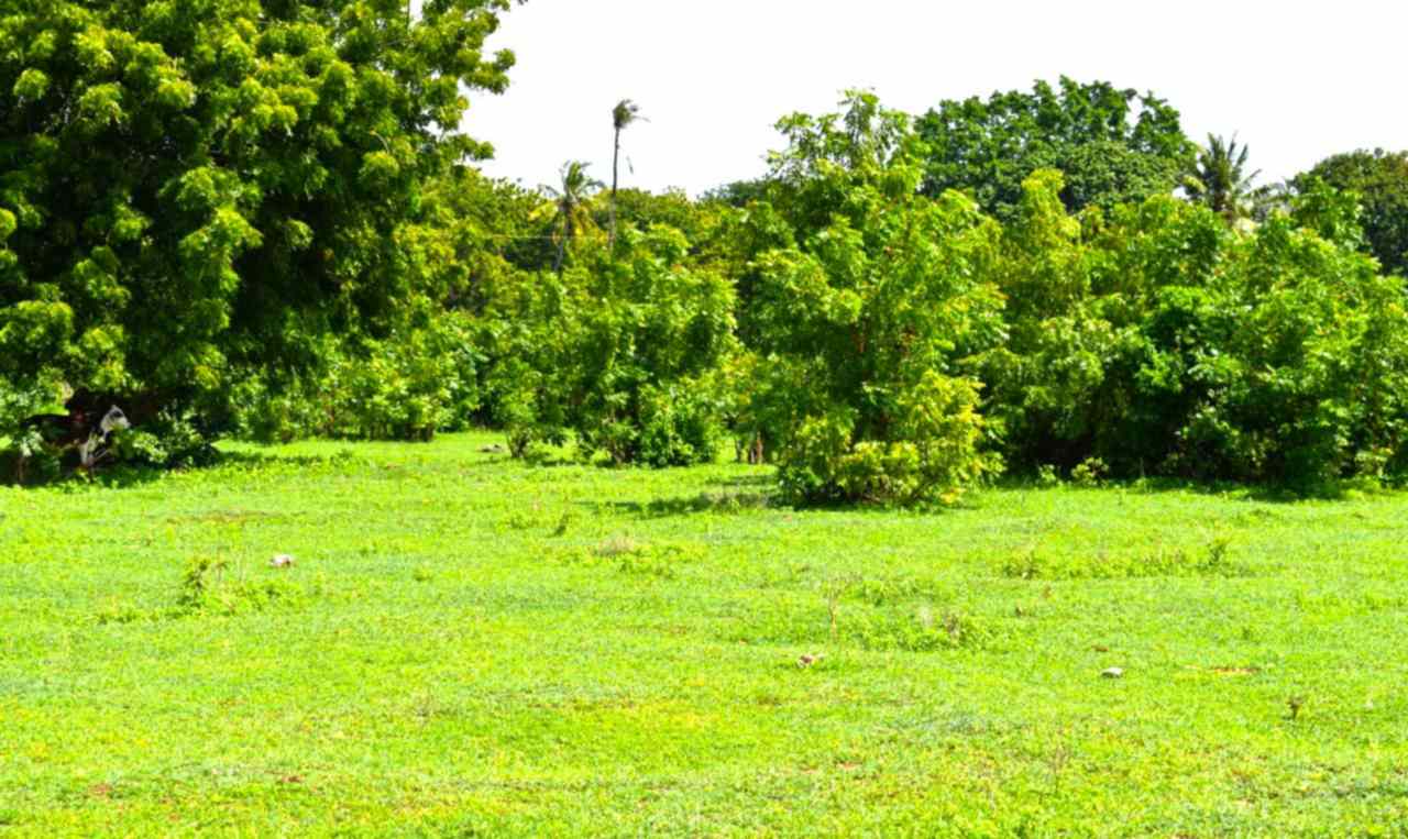 plots for sale in Kuruwitu Kilifi