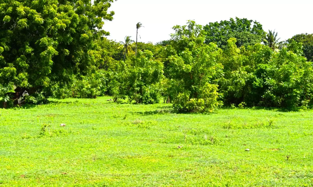 plots for sale in Kuruwitu Kilifi Image