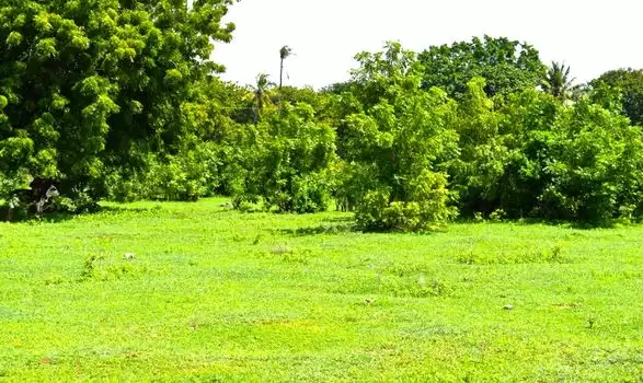 plots for sale in Kuruwitu Kilifi Image