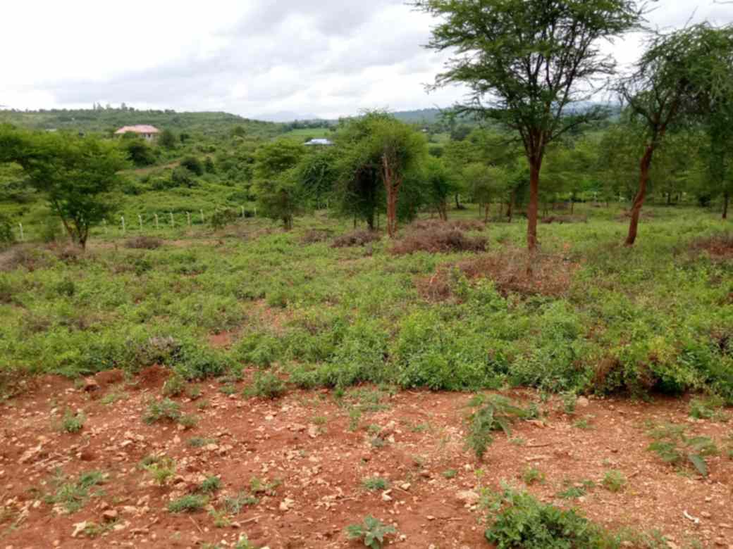 land for sale in Sagana Mamlaka  gardens