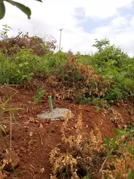 land for sale in Sagana Mamlaka  gardens Image