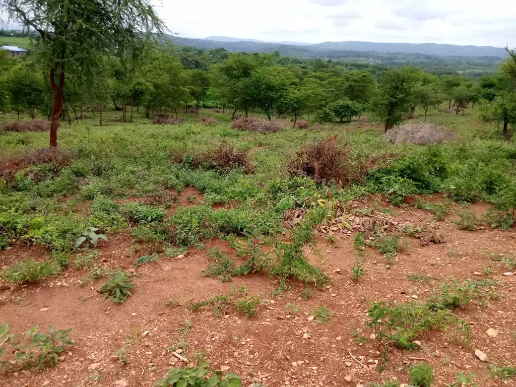 land for sale in Sagana Mamlaka  gardens Image