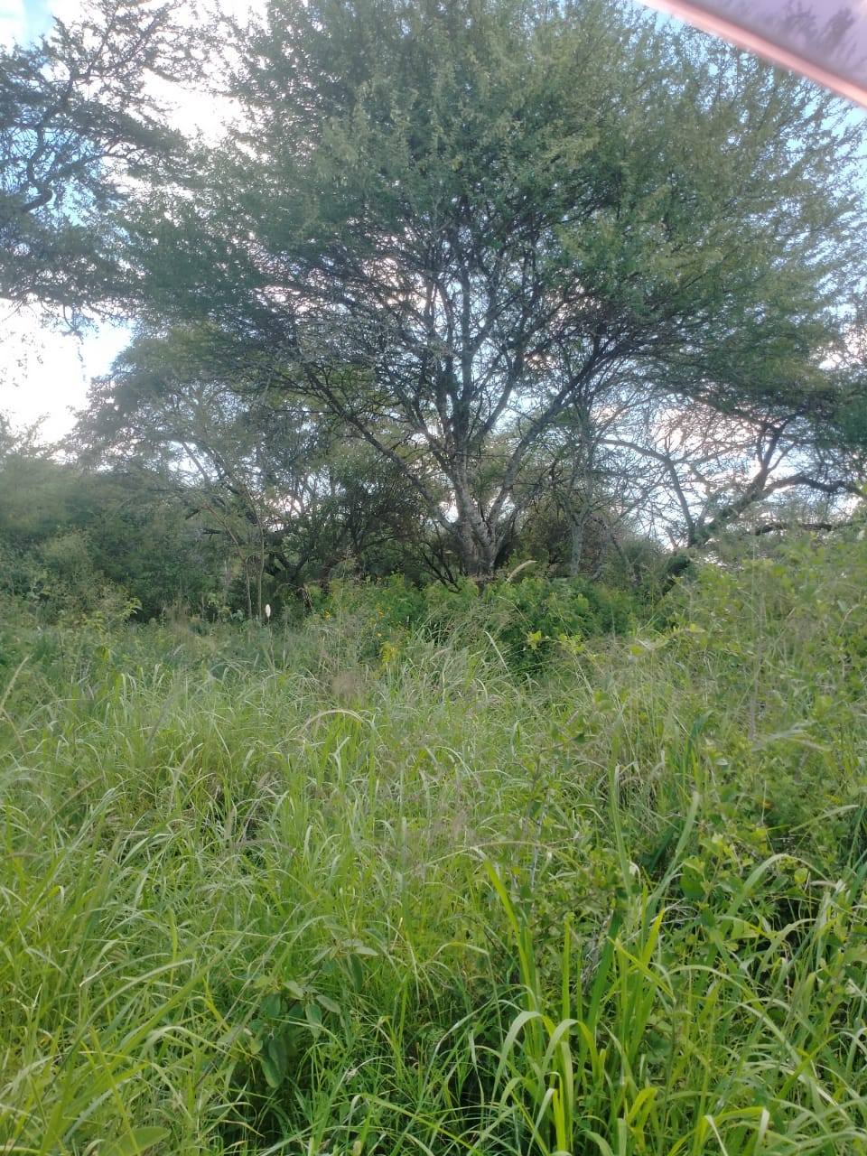 10.8 acre land plus maisonette for sale in Salama, Mombasa Road Image