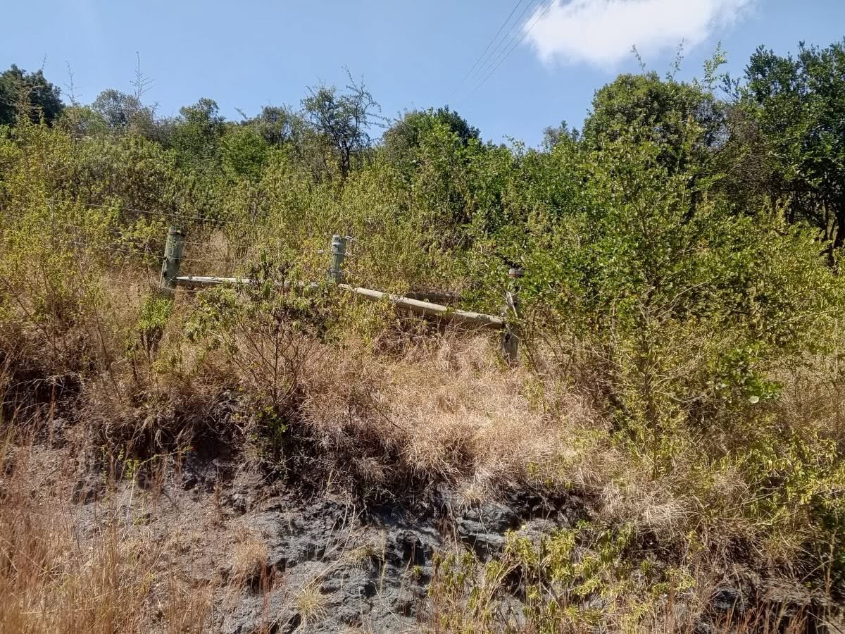110 Acres Agricultural Land for Sale in Chaka, Nyeri Image
