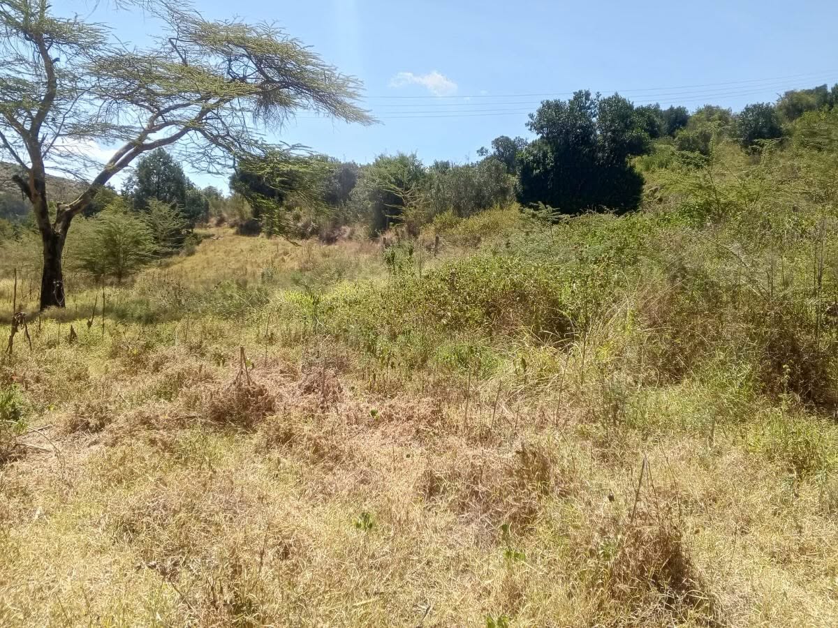 110 Acres Agricultural Land for Sale in Chaka, Nyeri