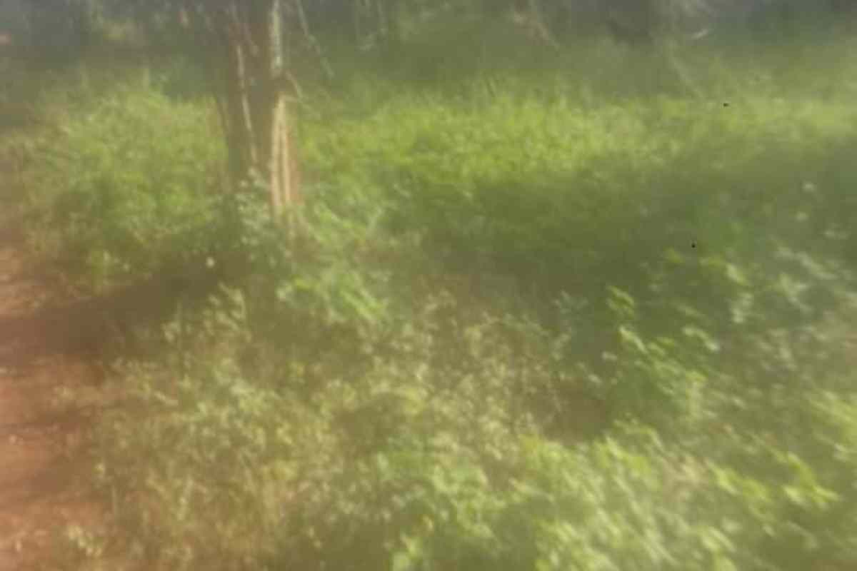 Land for sale in Mwea