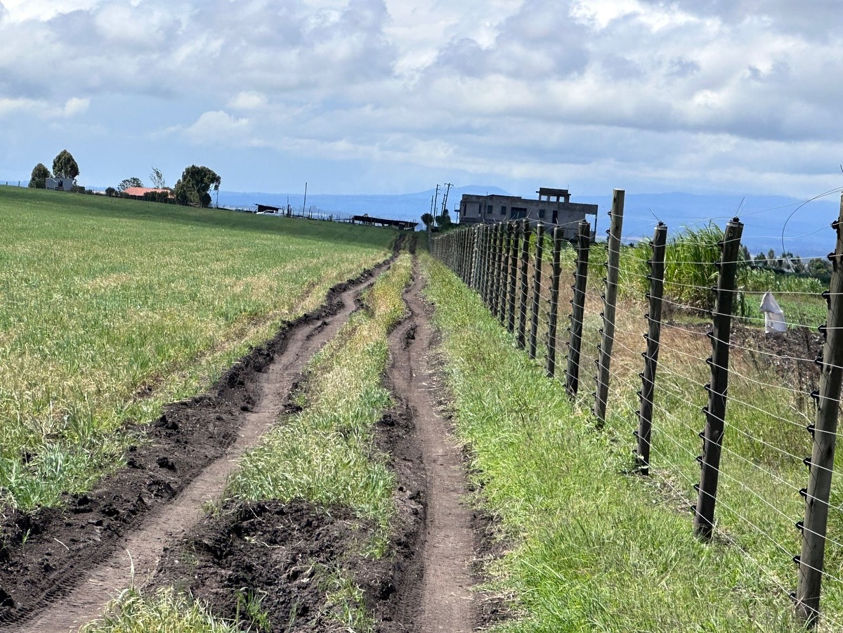 112 Acre Land for Sale in Chaka Image