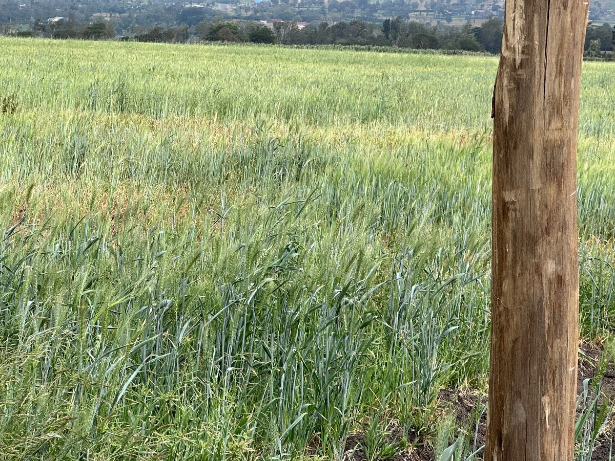 112 Acre Land for Sale in Chaka Image