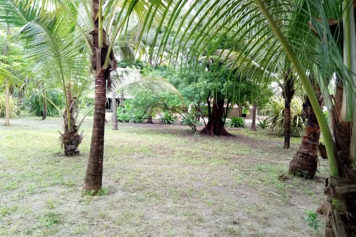 Land for sale in Kilifi Image