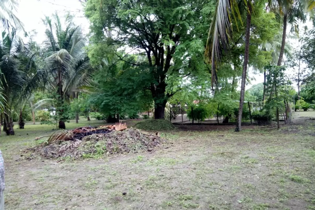 Land for sale in Kilifi Image