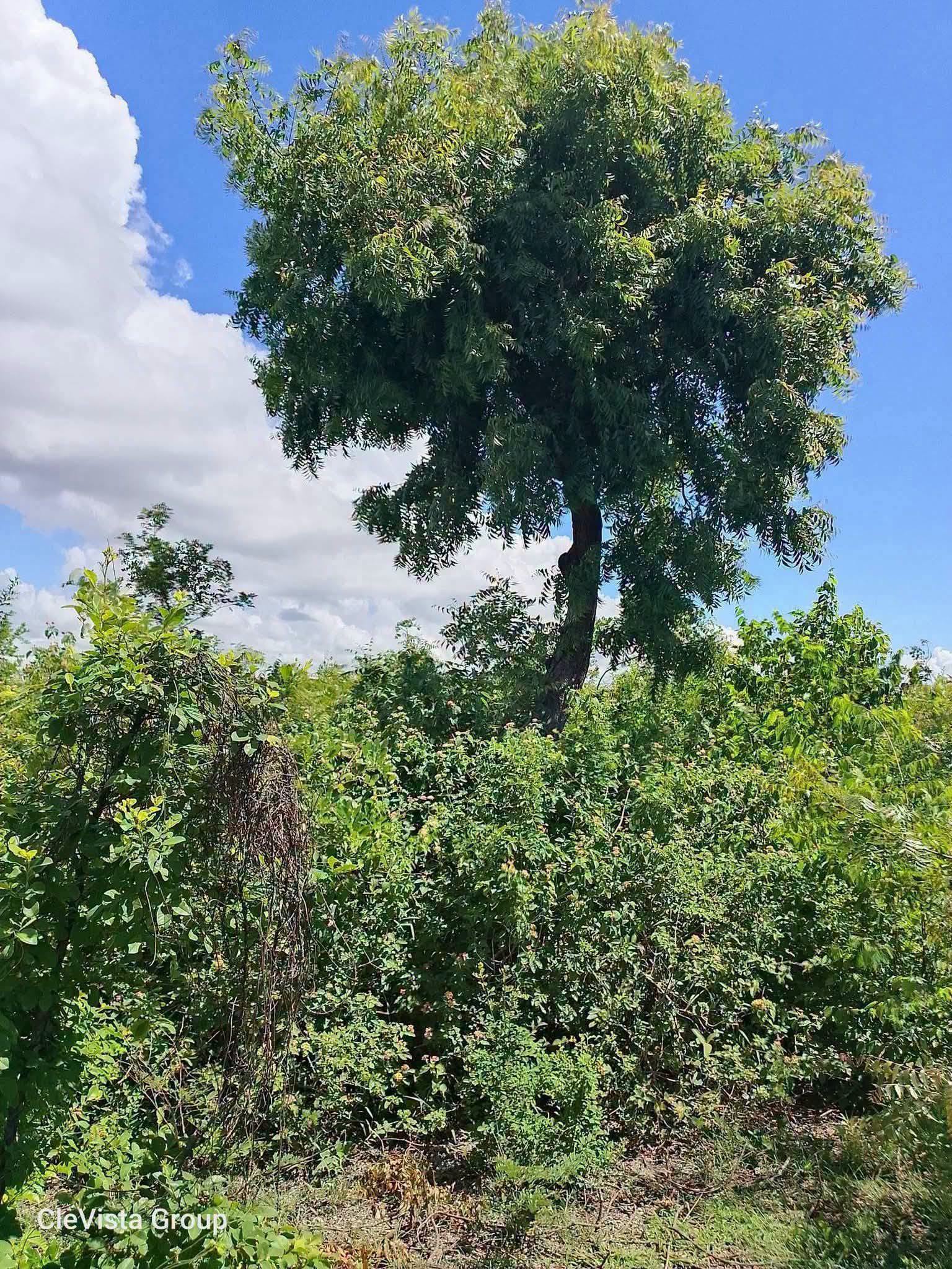 11.5 acres for sale in Tiwi, Kwale Image