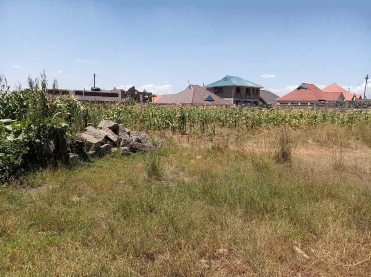 Ruiru Matangi plots for sale