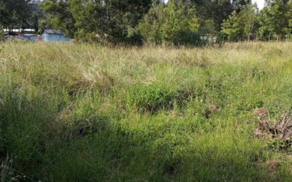 Half acre Land for sale in Karen